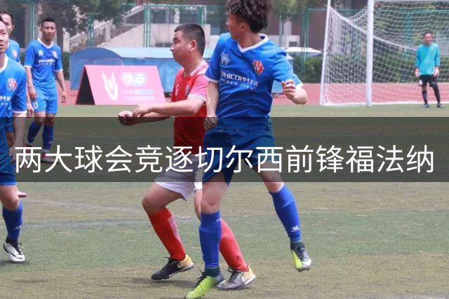 两大球会竞逐切尔西前锋福法纳